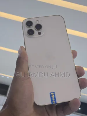 Apple iPhone 12 Pro Max 256 GB