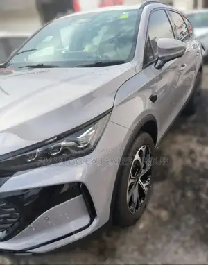 BYD Tang DM-i 2025 Gray