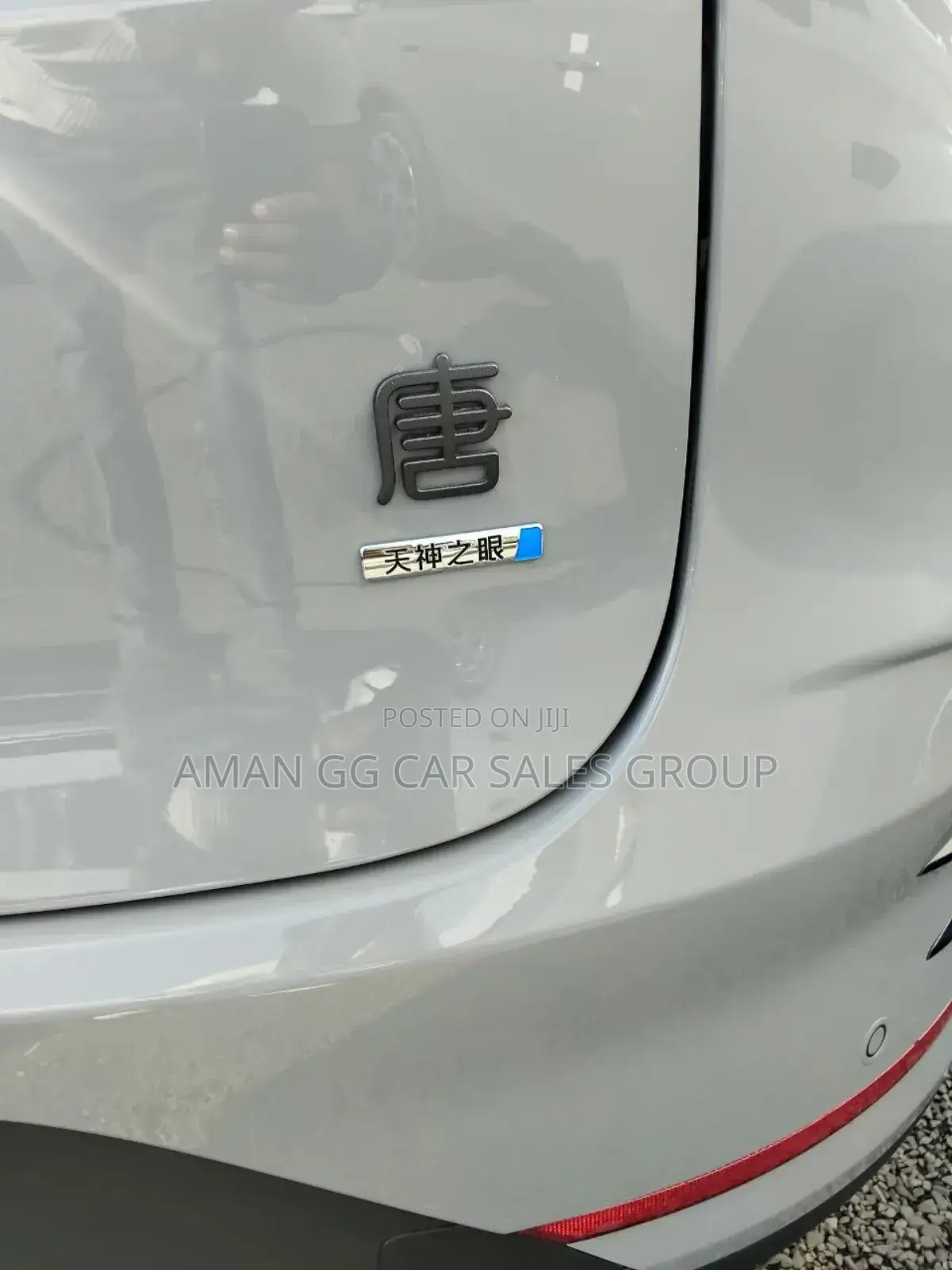 BYD Tang DM-i 2025 Gray