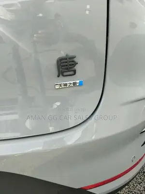 BYD Tang DM-i 2025 Gray