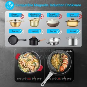 Spark Double Infrared Plate Digital Stove