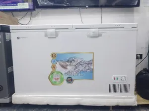 Everset Dip Ferig 500 Model