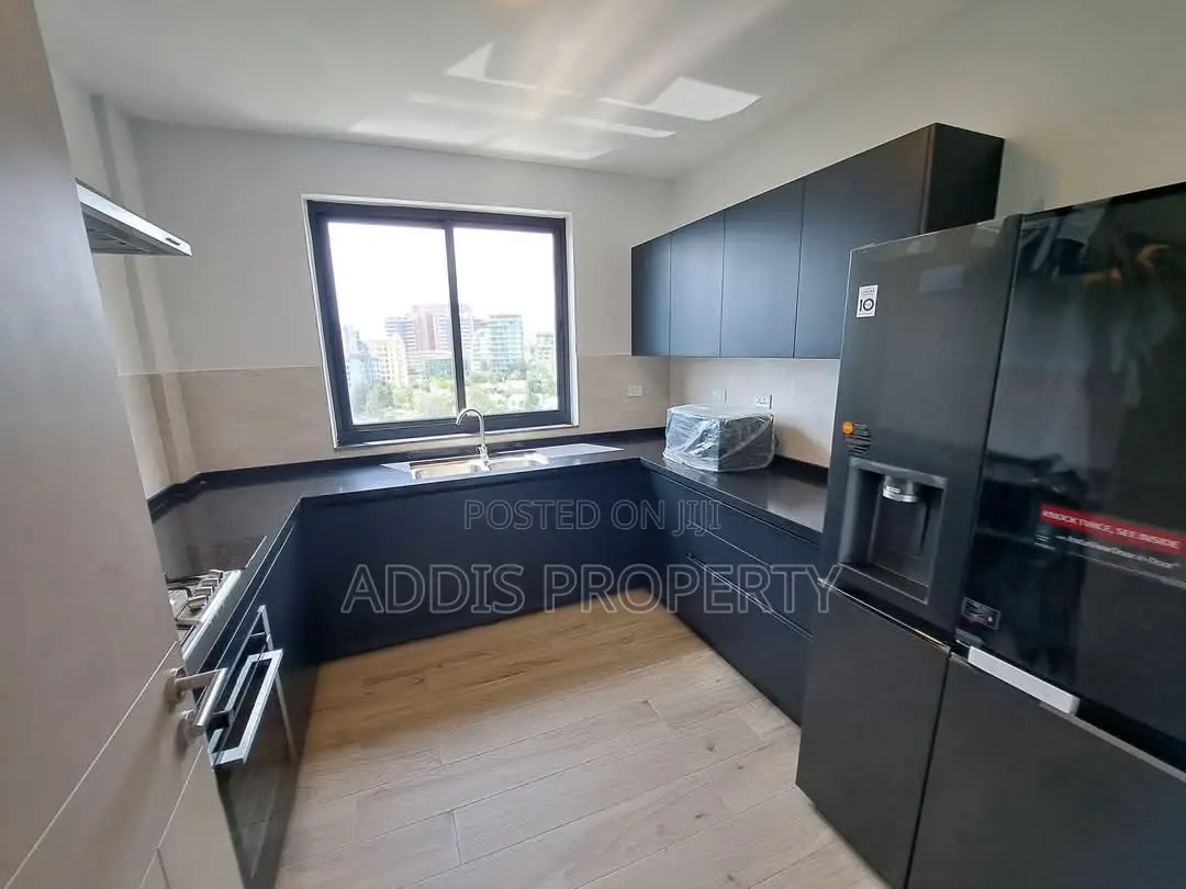 4bdrm Penthouse in Addis Property, Bole for rent