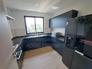 4bdrm Penthouse in Addis Property, Bole for rent