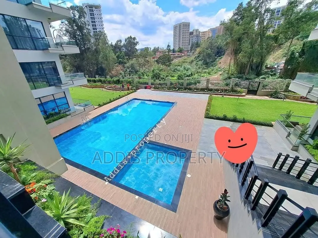 4bdrm Penthouse in Addis Property, Bole for rent