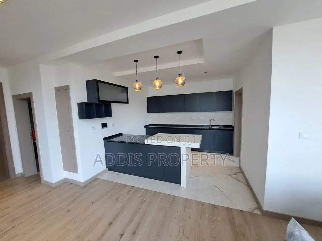 4bdrm Penthouse in Addis Property, Bole for rent