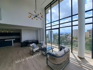 4bdrm Penthouse in Addis Property, Bole for rent