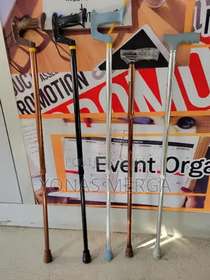 Photo - Walking Stick