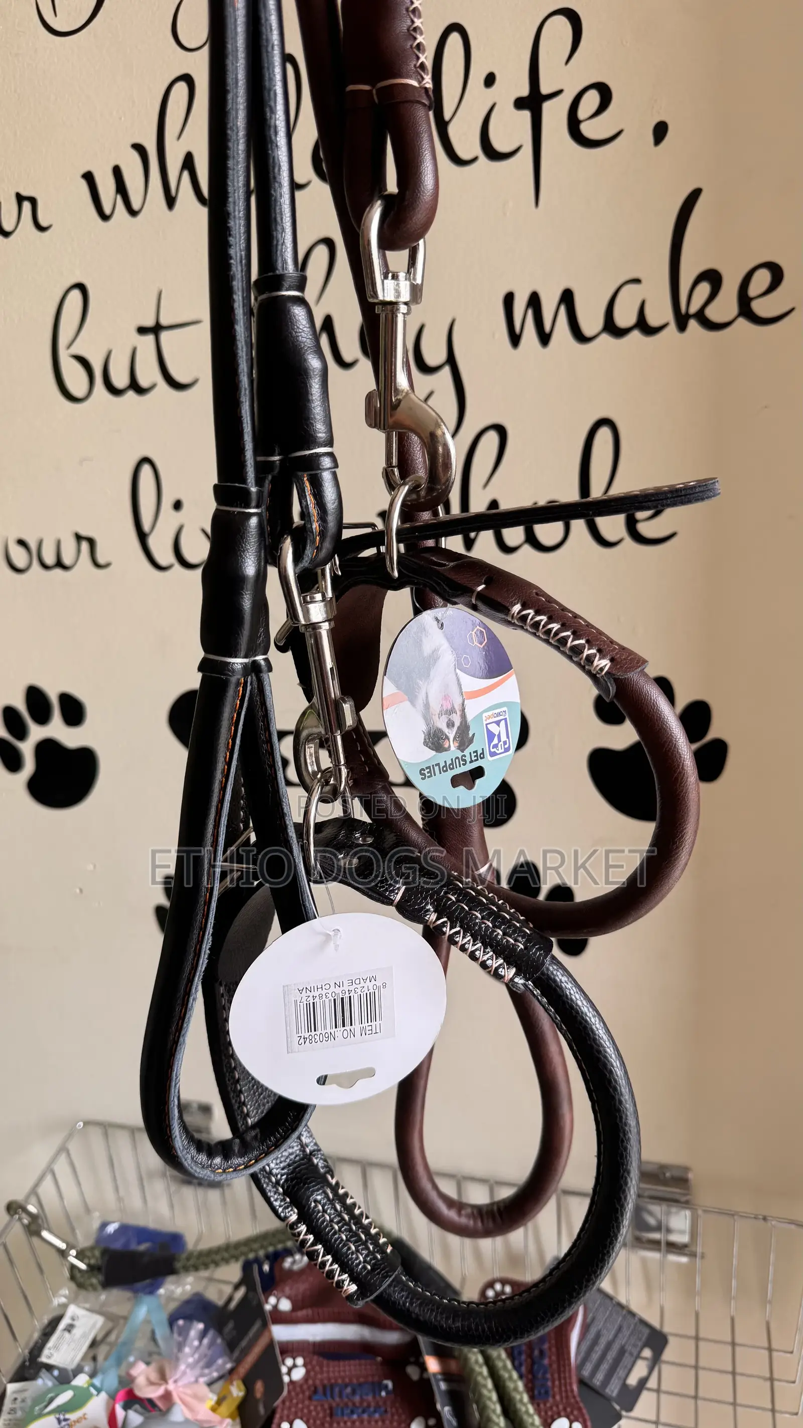 Super Strong Leash and Collar