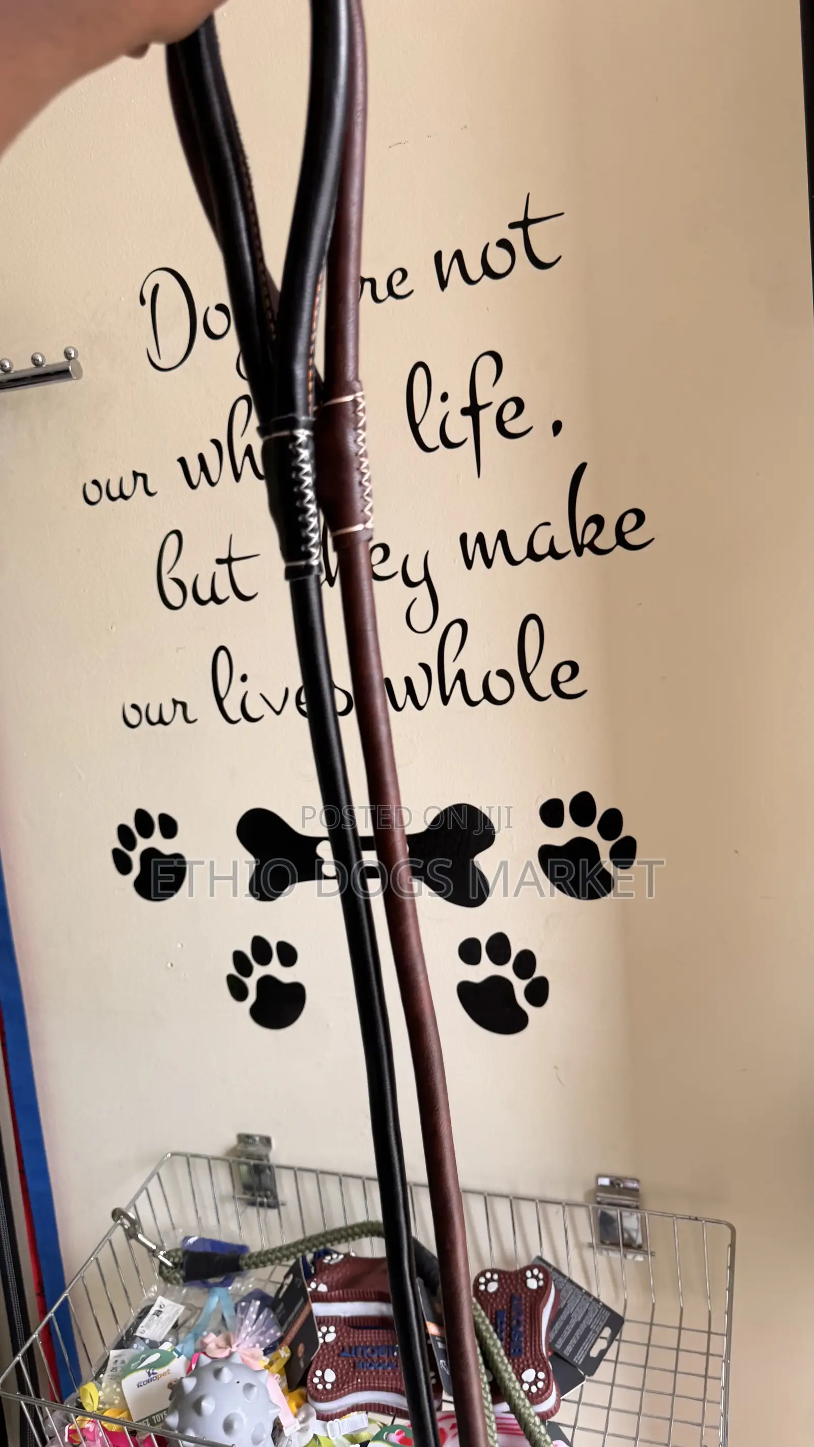 Super Strong Leash and Collar