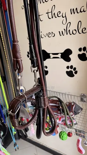 Super Strong Leash and Collar