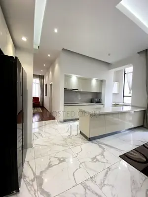Furnished 4bdrm Penthouse in Bole for rent