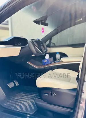 Tesla Model X 2024 Gray