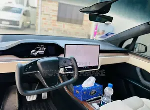 Tesla Model X 2024 Gray