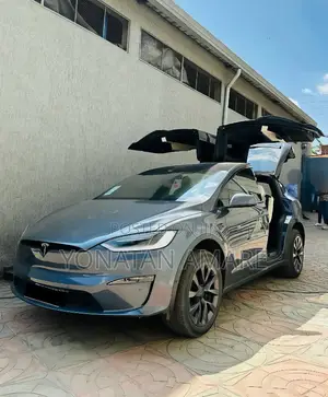 Tesla Model X 2024 Gray