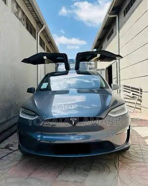 Photo - Tesla Model X 2024 Gray