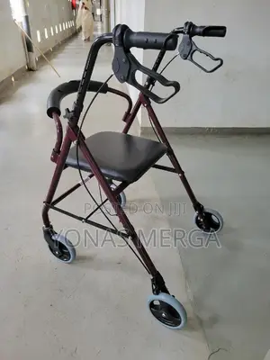 Photo - Walker / Rollator声發ىdual Purpose Seat Walker