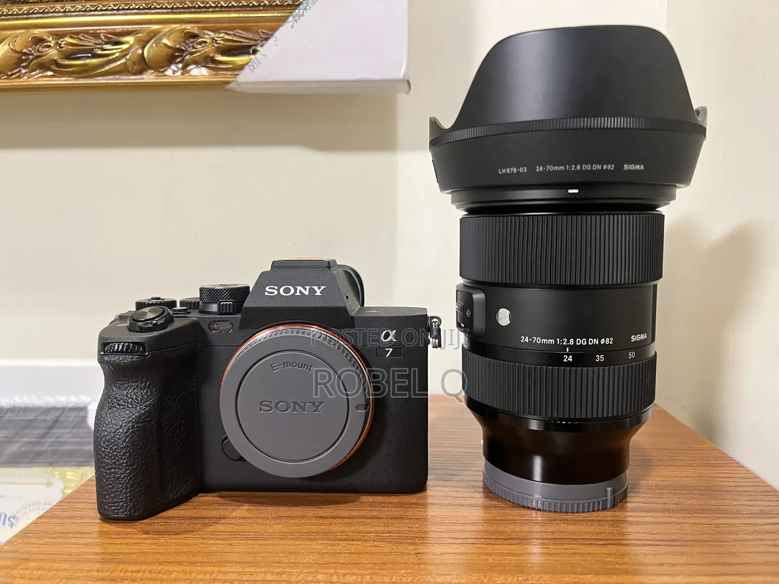 Sony Alpha 7 Iv With Sigma 24-70 F2.8