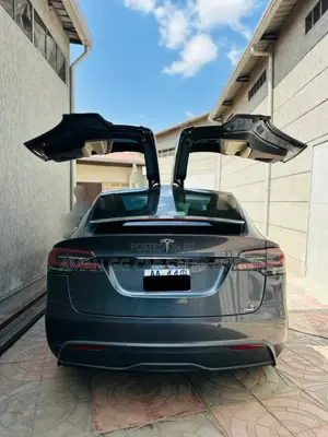Tesla Model X 2023 Gray