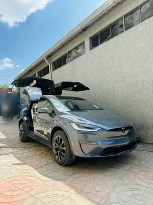 Tesla Model X 2023 Gray