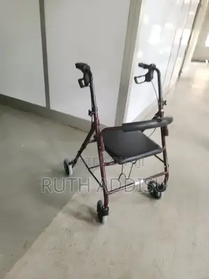 Walker With European Standard起來medical Walker New Seat Walkr