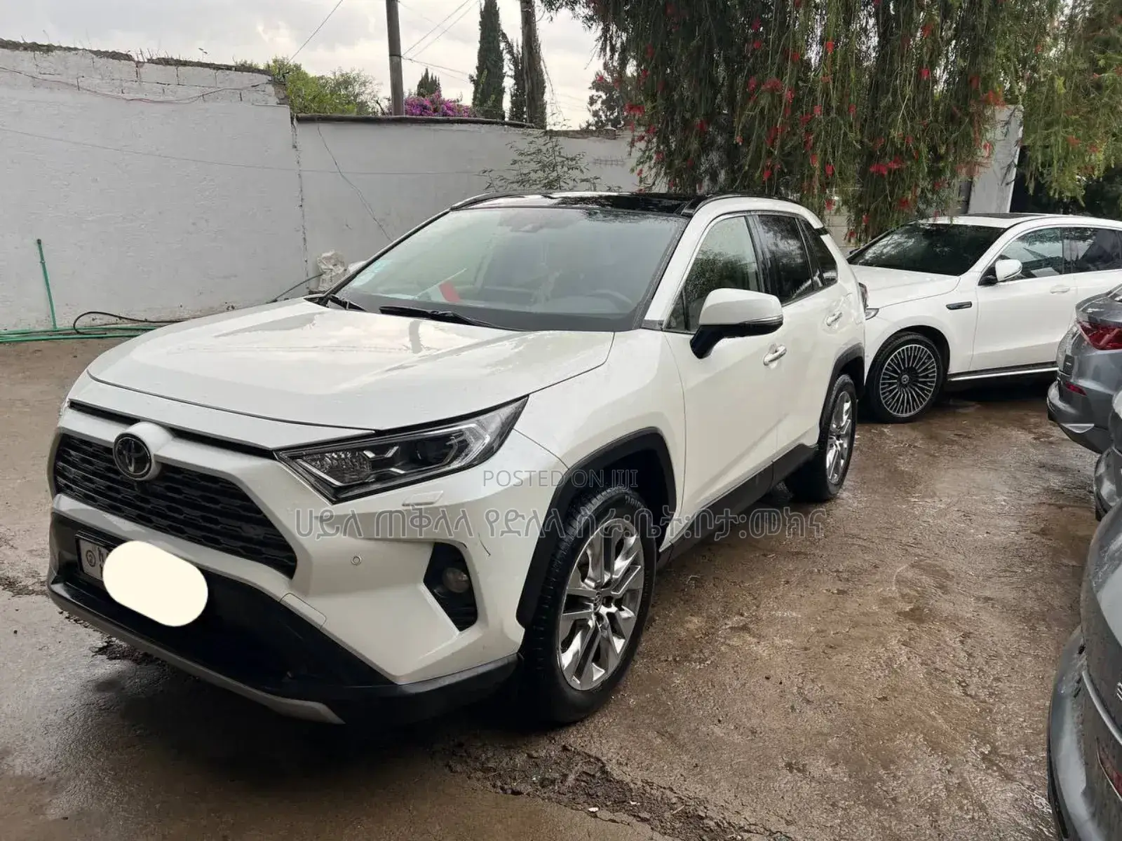 Toyota RAV4 2021 Ivory