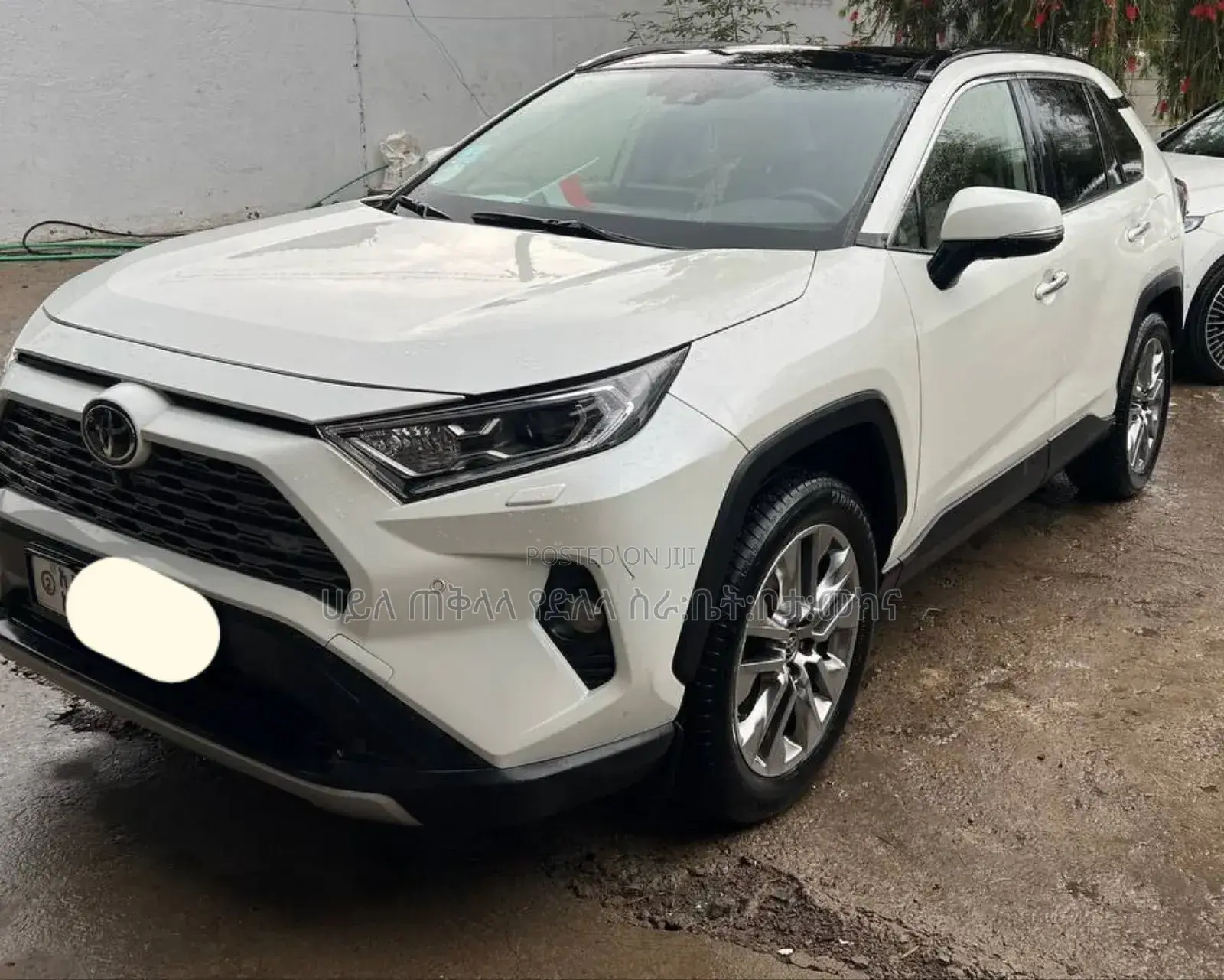 Toyota RAV4 2021 Ivory