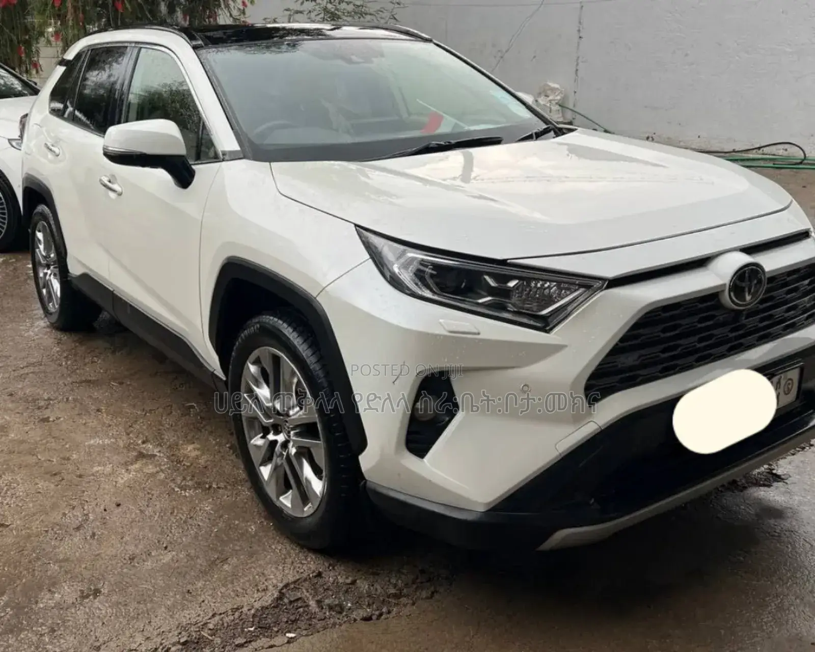 Toyota RAV4 2021 Ivory
