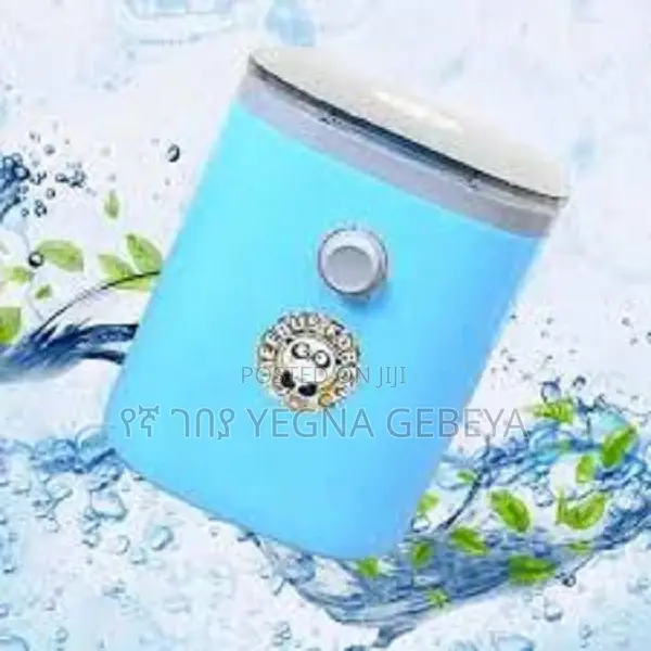 Portable Washing Machine