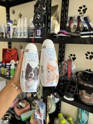 Photo - Original Shampoo
