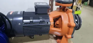 Self Priming Surface Pump