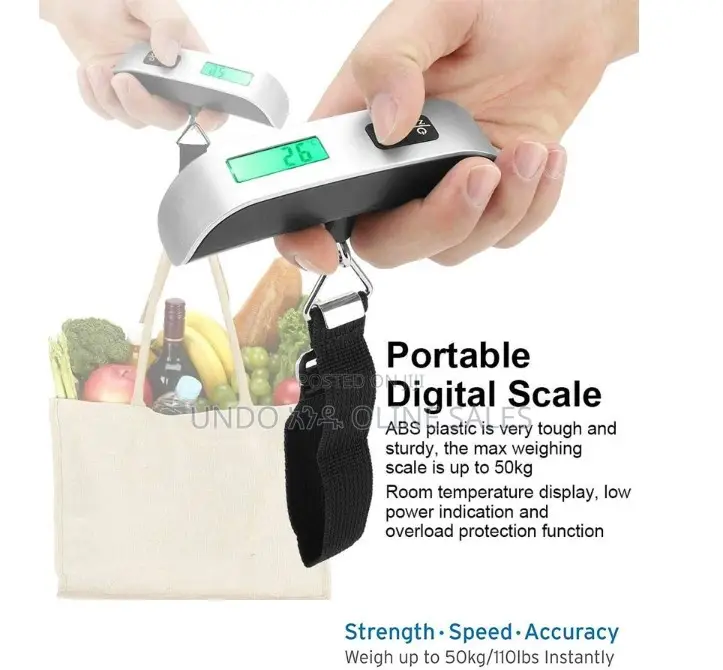 50kg 10g Digital Scale Electronic Balance Pocket Luggage