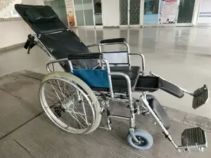 Wheelchair骨頭wheelchair較大wheelchair也有wheelchair甾天wheelchair