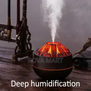 Charcoal Fire Humidifier
