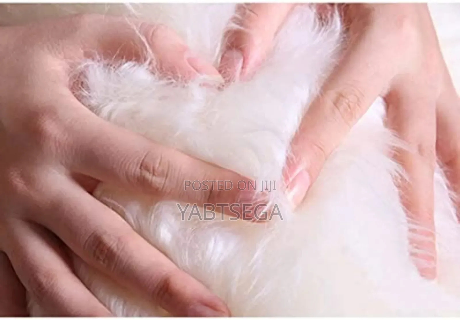 ዘመናዊ የፈር ንጣፍ Blanket