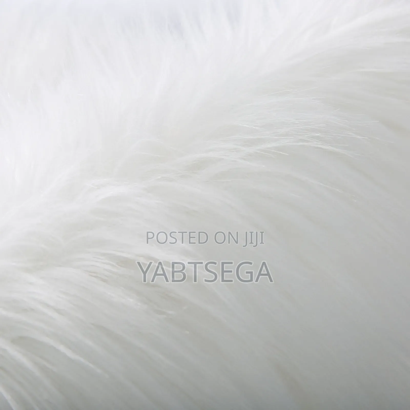 ዘመናዊ የፈር ንጣፍ Blanket