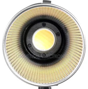 Adjustable 500 Watt Spot Light–High-Cri, Flicker-Free Output