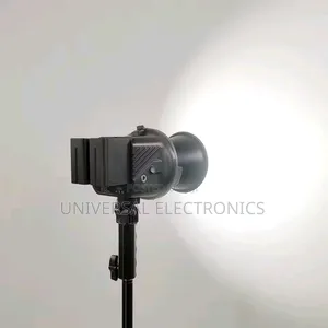 Adjustable 500 Watt Spot Light–High-Cri, Flicker-Free Output