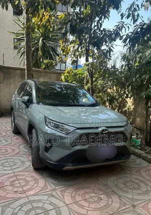 Photo - Toyota RAV4 2024 Green
