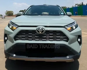 Toyota RAV4 2024 Green