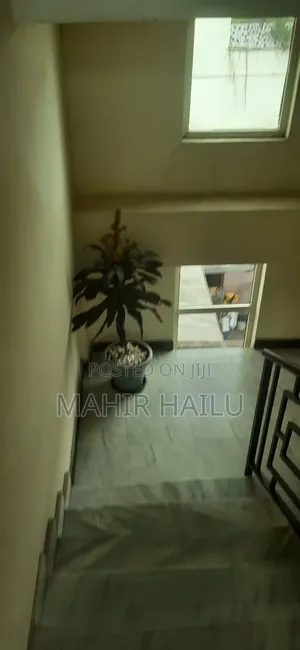 1bdrm Apartment in Real, Bole for rent