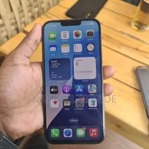 Apple iPhone 13 Pro Max 256 GB Gray