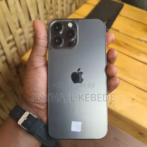 Apple iPhone 13 Pro Max 256 GB Gray