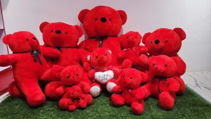 Red Teddy Bear With Heart Shaped Pillow!