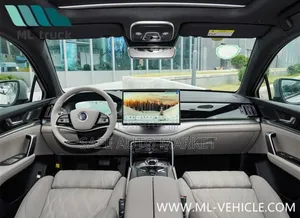 New BYD Tang DM-i 2025 Gray