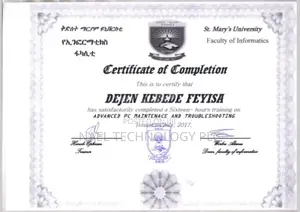 CCTV Technicians and Network Engineer