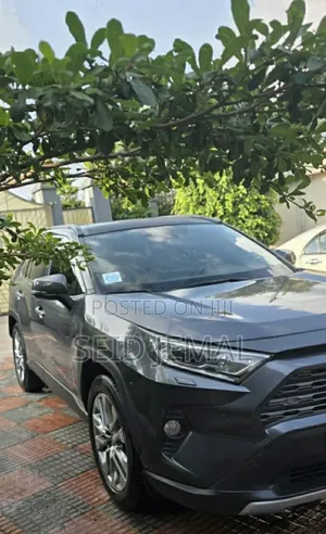 Photo - Toyota RAV4 2020 Gray