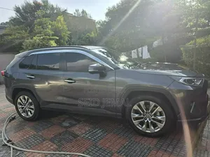 Toyota RAV4 2020 Gray