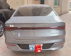 BYD Qin Plus DM-i 2024 Gray