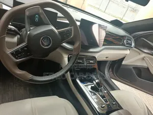 BYD Qin Plus DM-i 2024 Gray